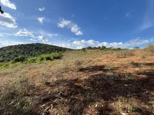 Ekari 7 Za Msitu Halisi (Ngorongoro Fireline) Zinauzwa Marera, Karatu