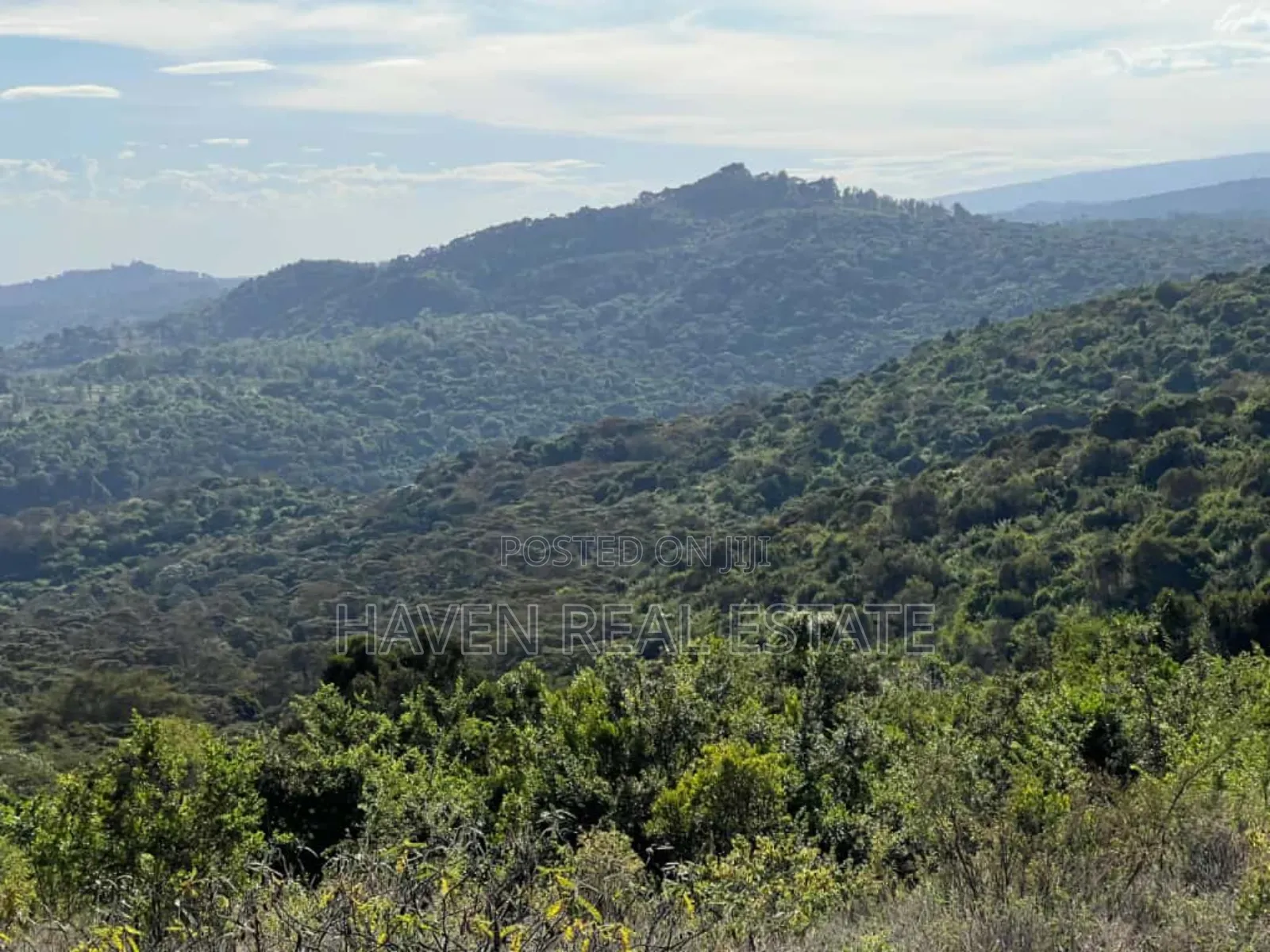 Ekari 7 Za Msitu Halisi (Ngorongoro Fireline) Zinauzwa Marera, Karatu
