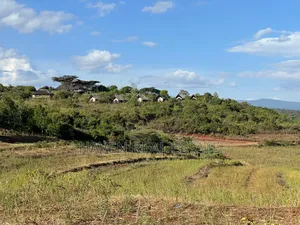 Ekari 7 Za Msitu Halisi (Ngorongoro Fireline) Zinauzwa Marera, Karatu