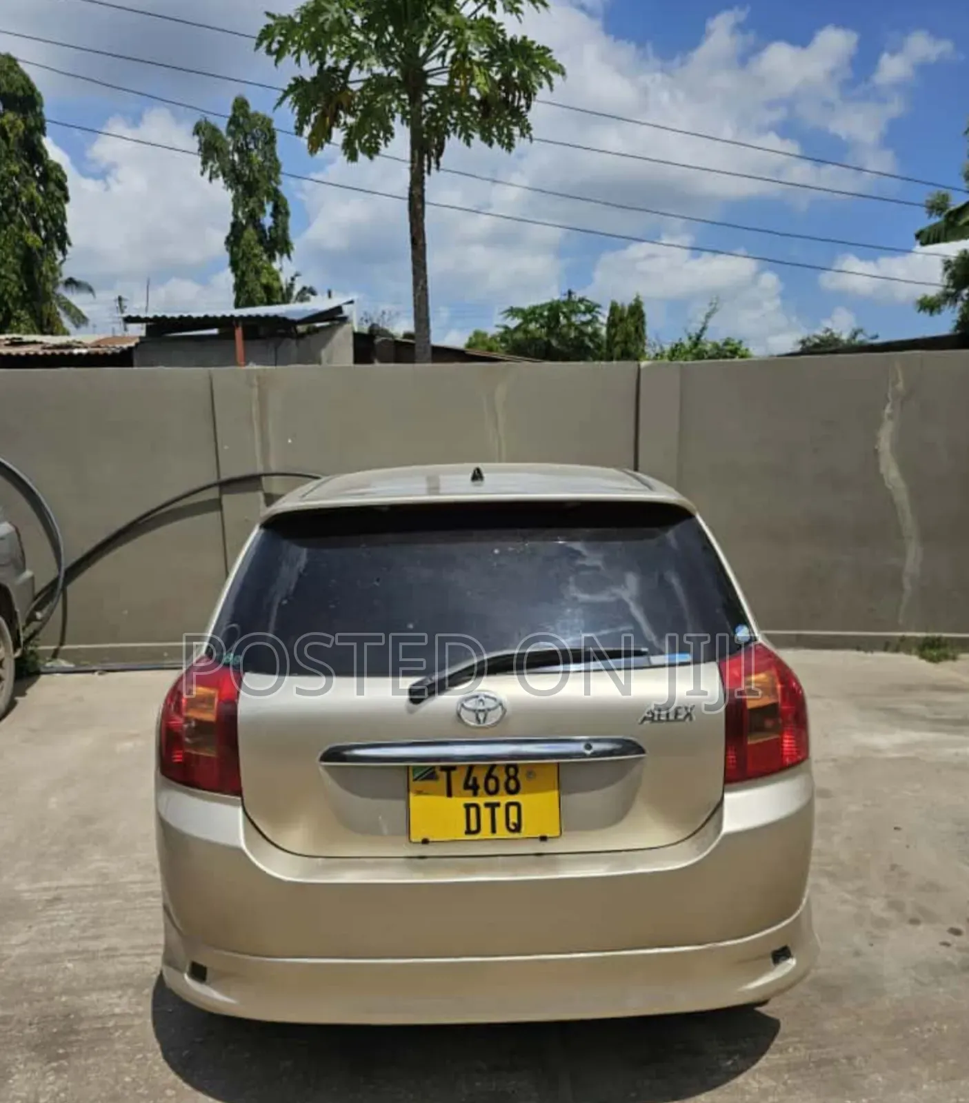 Toyota Allex 2003 Gold