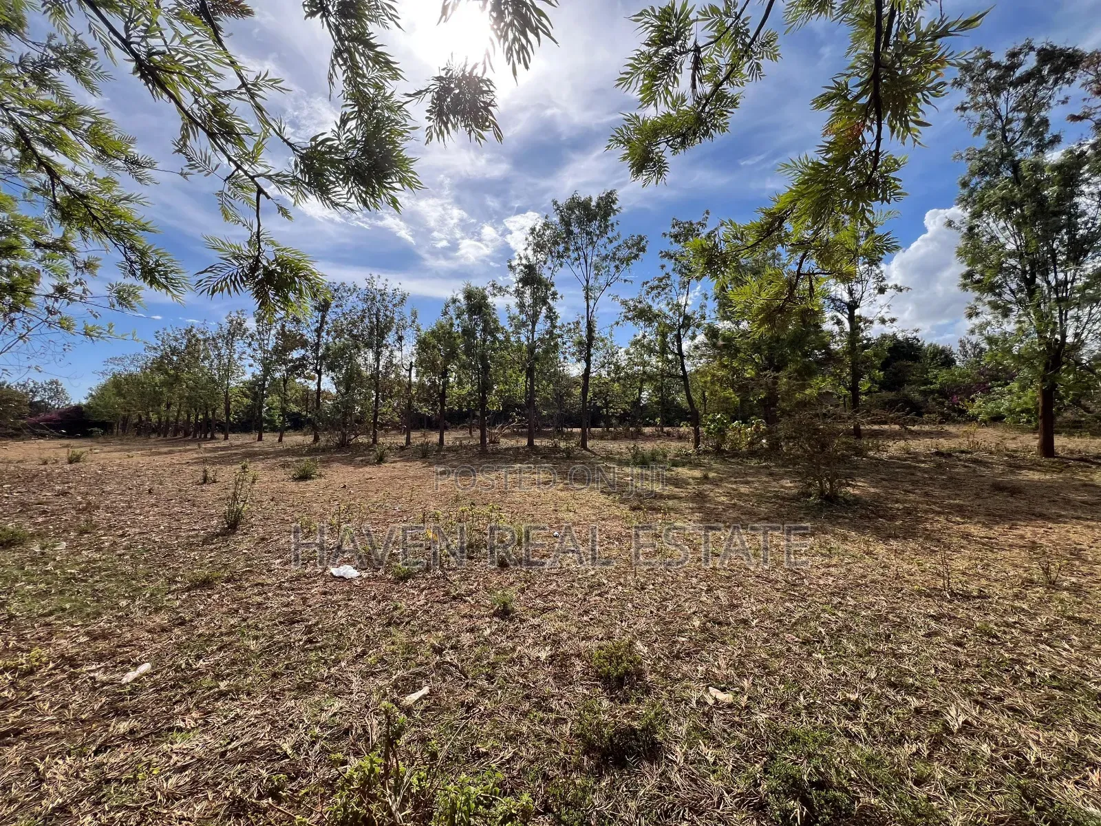 4.9acres Limegusa Barabara Ya Maliasili Inauzwa Karatu-Mjini