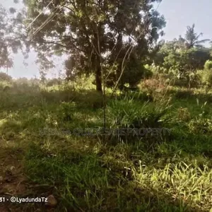 Plot Area Sqm4000 for Sale at Visiga Kibaha