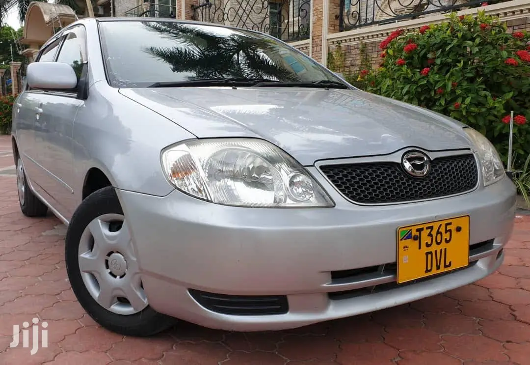 Toyota Corolla RunX 2001 Silver