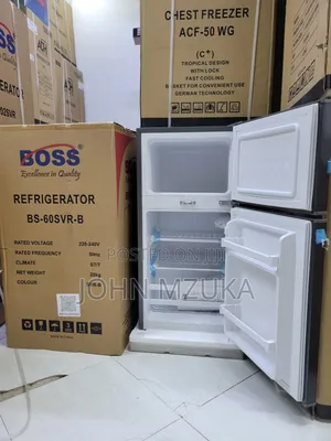 Fridge Aina Ya Boss, Bs 60, 90 Liters