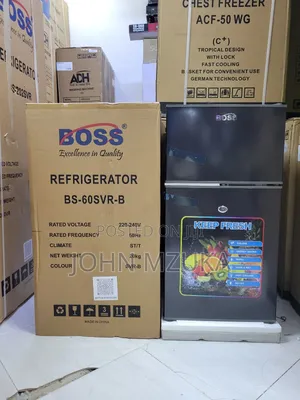 Fridge Aina Ya Boss, Bs 60, 90 Liters