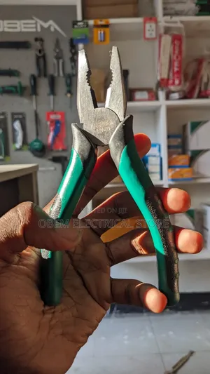 Plier (6 Inches)