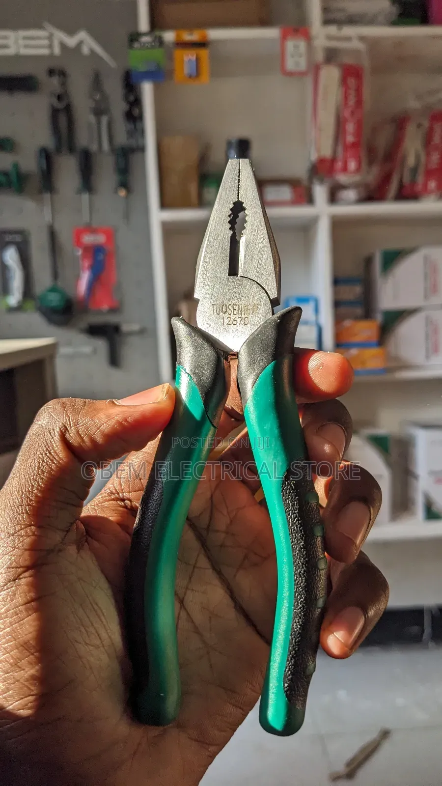 Plier (6 Inches)