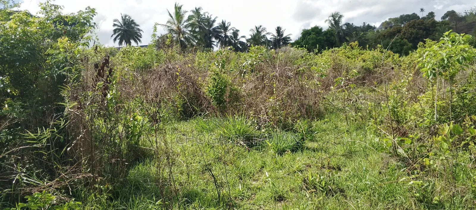 Land Heka 6