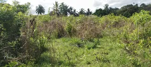 Land Heka 6