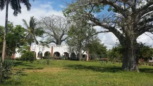 Beach Front Lodge for Sale at Tanga