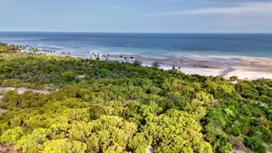 14acres Beach Plot for Sale at Tanga