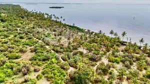 14acres Beach Plot for Sale at Tanga