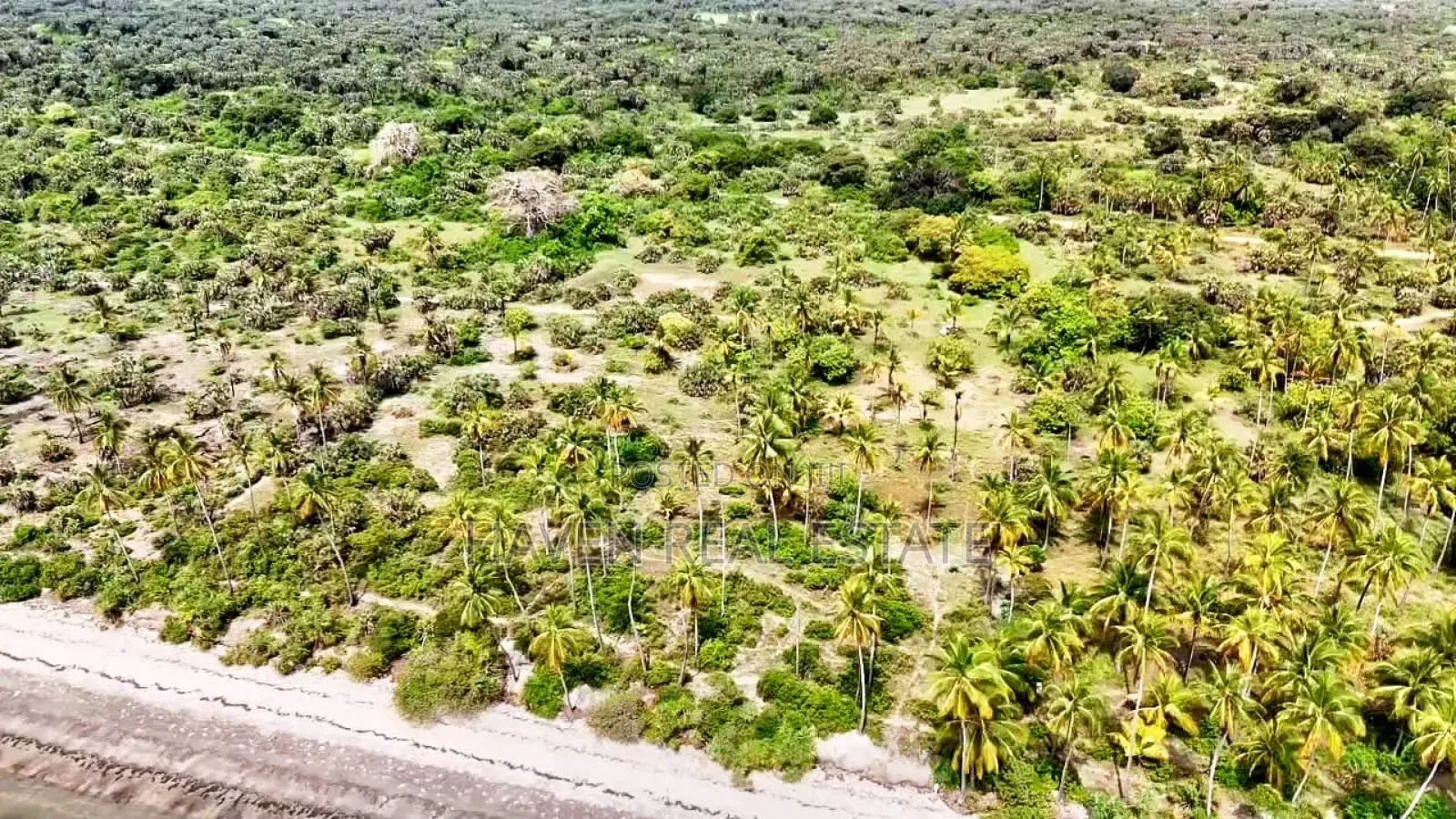 14acres Beach Plot for Sale at Tanga