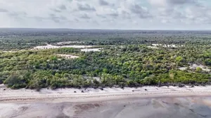 40acres Beach Plot for Sale at Pangani Tanga