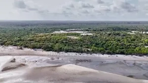40acres Beach Plot for Sale at Pangani Tanga