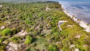 40acres Beach Plot for Sale at Pangani Tanga