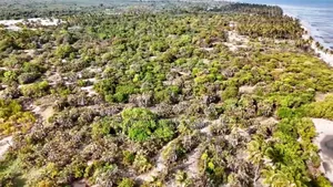 40acres Beach Plot for Sale at Pangani Tanga