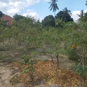 Land for Sale at Kibaha