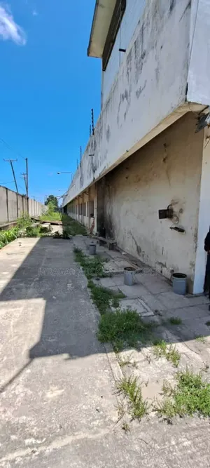 Warehouse Godwn Area Sqm5000 for Rent Usd 5 Per SQM at Mabibo