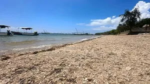 Beach Plot for Sale at Fumba Zanzibar
