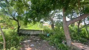 Beach Plot for Sale at Fumba Zanzibar