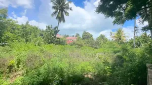 Beach Plot for Sale at Fumba Zanzibar