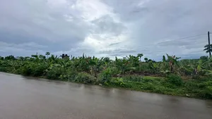 A Main Road Plot for Sale at Buyu Zanzibar