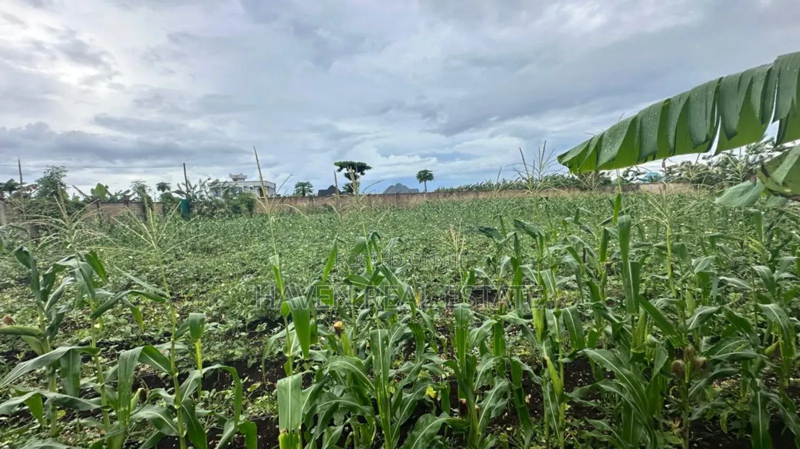 A Main Road Plot for Sale at Buyu Zanzibar