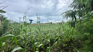 A Main Road Plot for Sale at Buyu Zanzibar