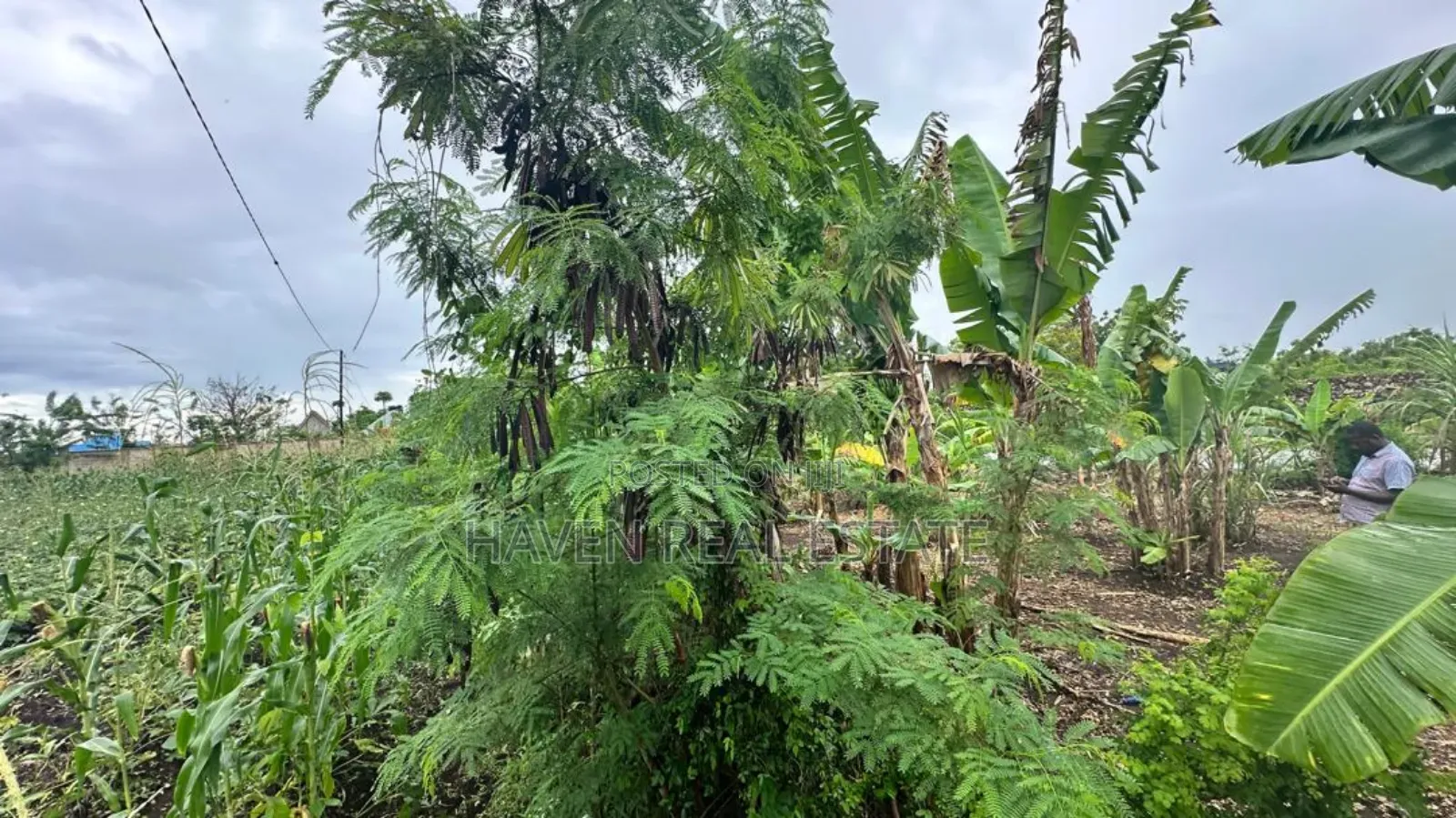 A Main Road Plot for Sale at Buyu Zanzibar