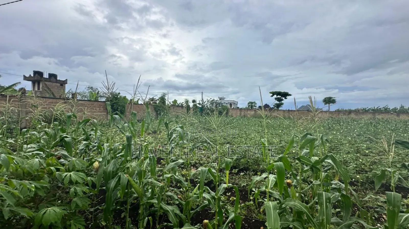 A Main Road Plot for Sale at Buyu Zanzibar