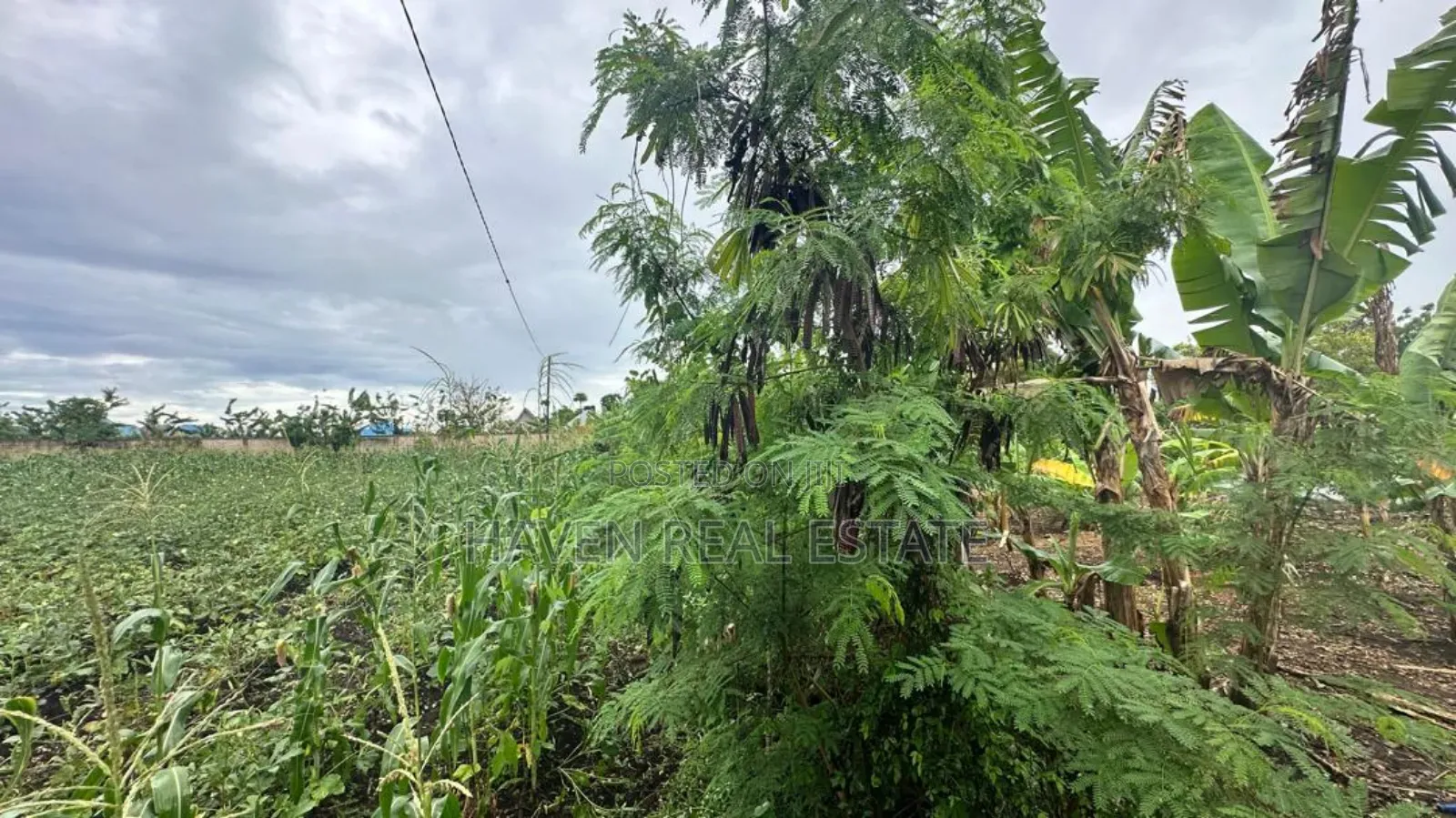 A Main Road Plot for Sale at Buyu Zanzibar