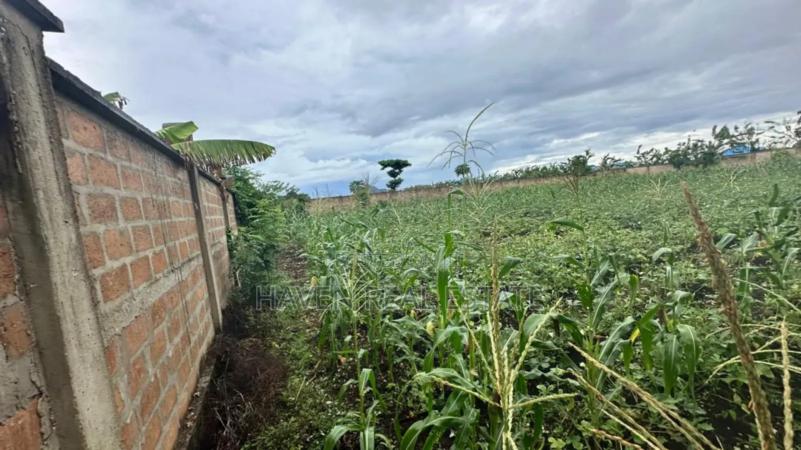 A Main Road Plot for Sale at Buyu Zanzibar