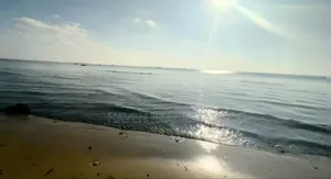 A Sunset Beach Cliff Plot for Sale at Zanzibar