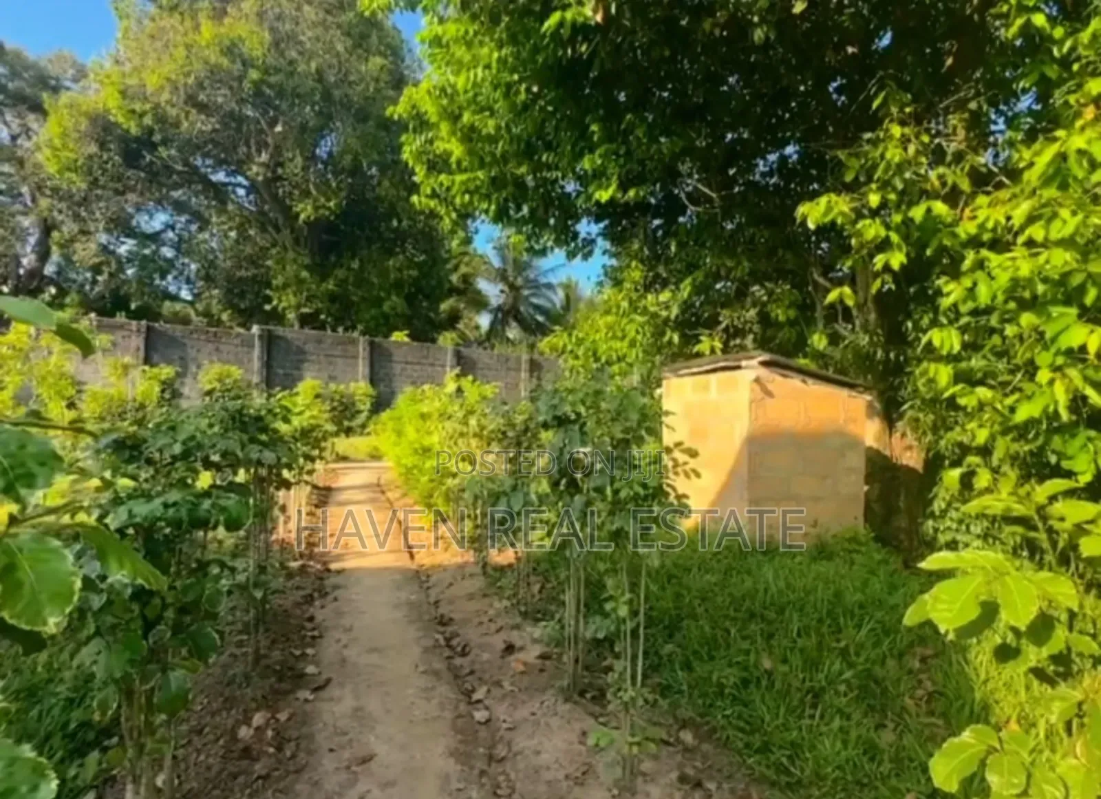 A Sunset Beach Cliff Plot for Sale at Zanzibar