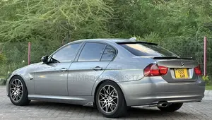 BMW 3 Series 2010 Gray