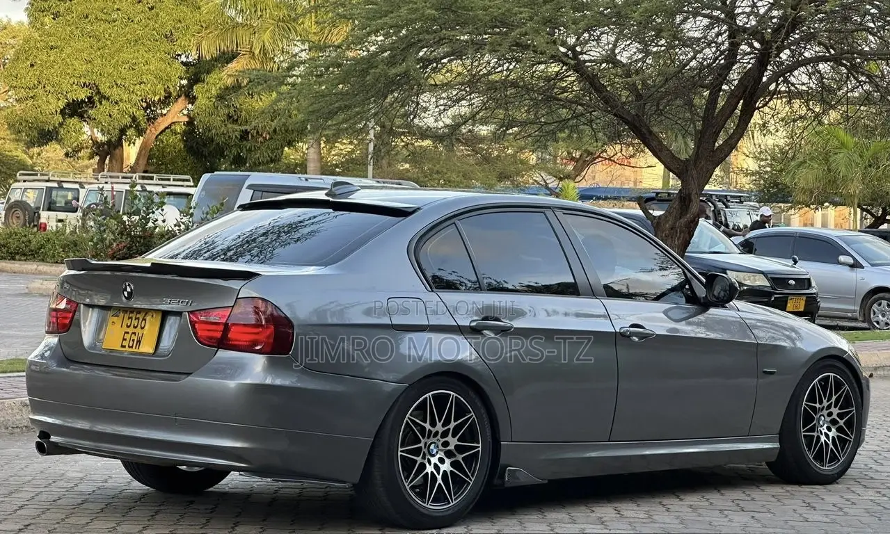 BMW 3 Series 2010 Gray