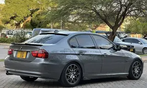 BMW 3 Series 2010 Gray