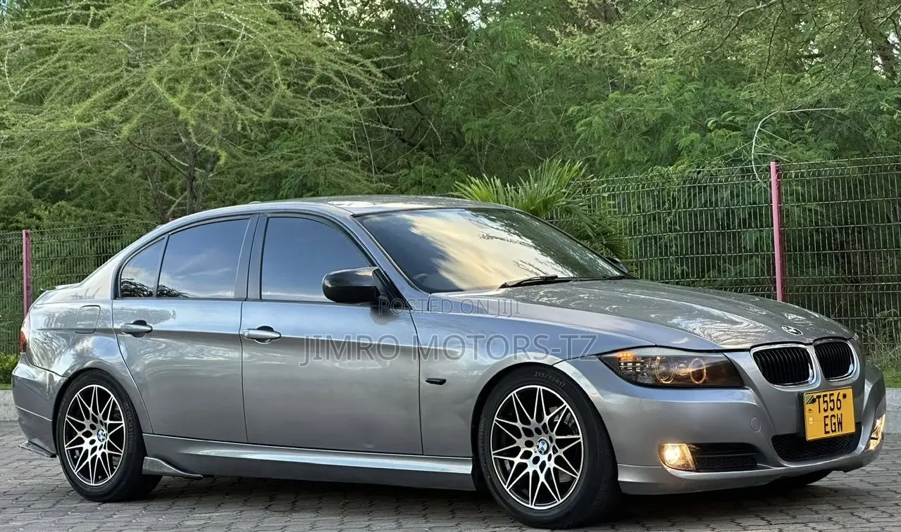 BMW 3 Series 2010 Gray