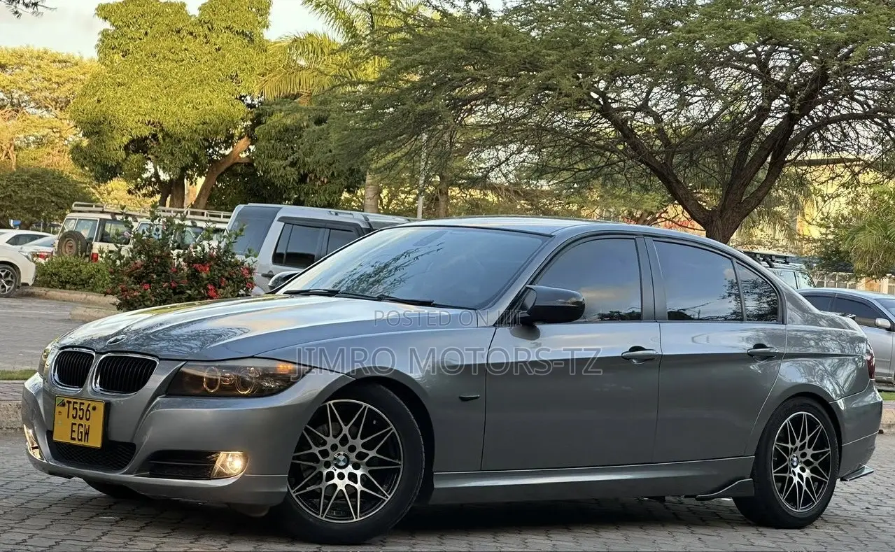 BMW 3 Series 2010 Gray