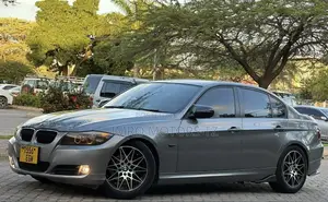 BMW 3 Series 2010 Gray