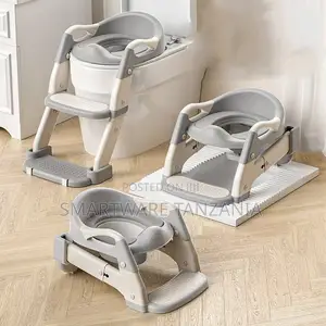 3-in-1 Kids Toilet Training Set Gray Adjustable Potty Seat Ladder