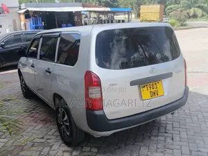 Toyota Probox 1.3 DX 2WD 2005 Silver