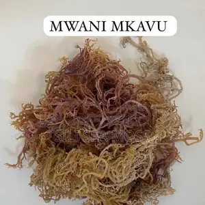 Kwanini Unahitaji Mmea Wa Mwani Nyumbani Kwako?