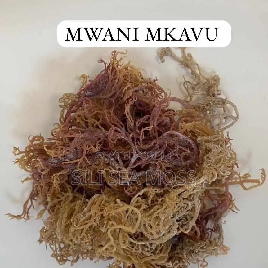 Kwanini Unahitaji Mmea Wa Mwani Nyumbani Kwako?