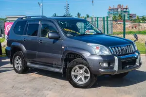 Toyota Land Cruiser Prado 2007 Gray
