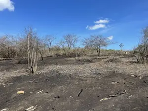Shamba Linauzwa Kiwangwa Eka 35
