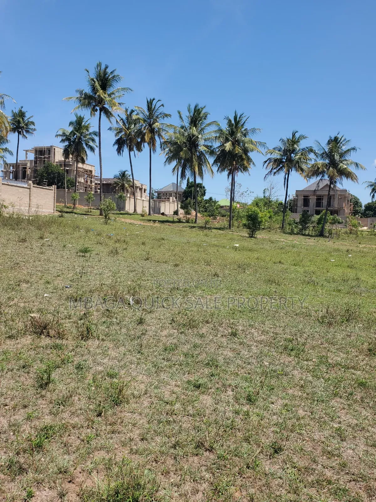 Plot Area SQM 812 for Sale at Madale Flamingo