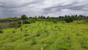 Beach Plot for Sale at Pemba