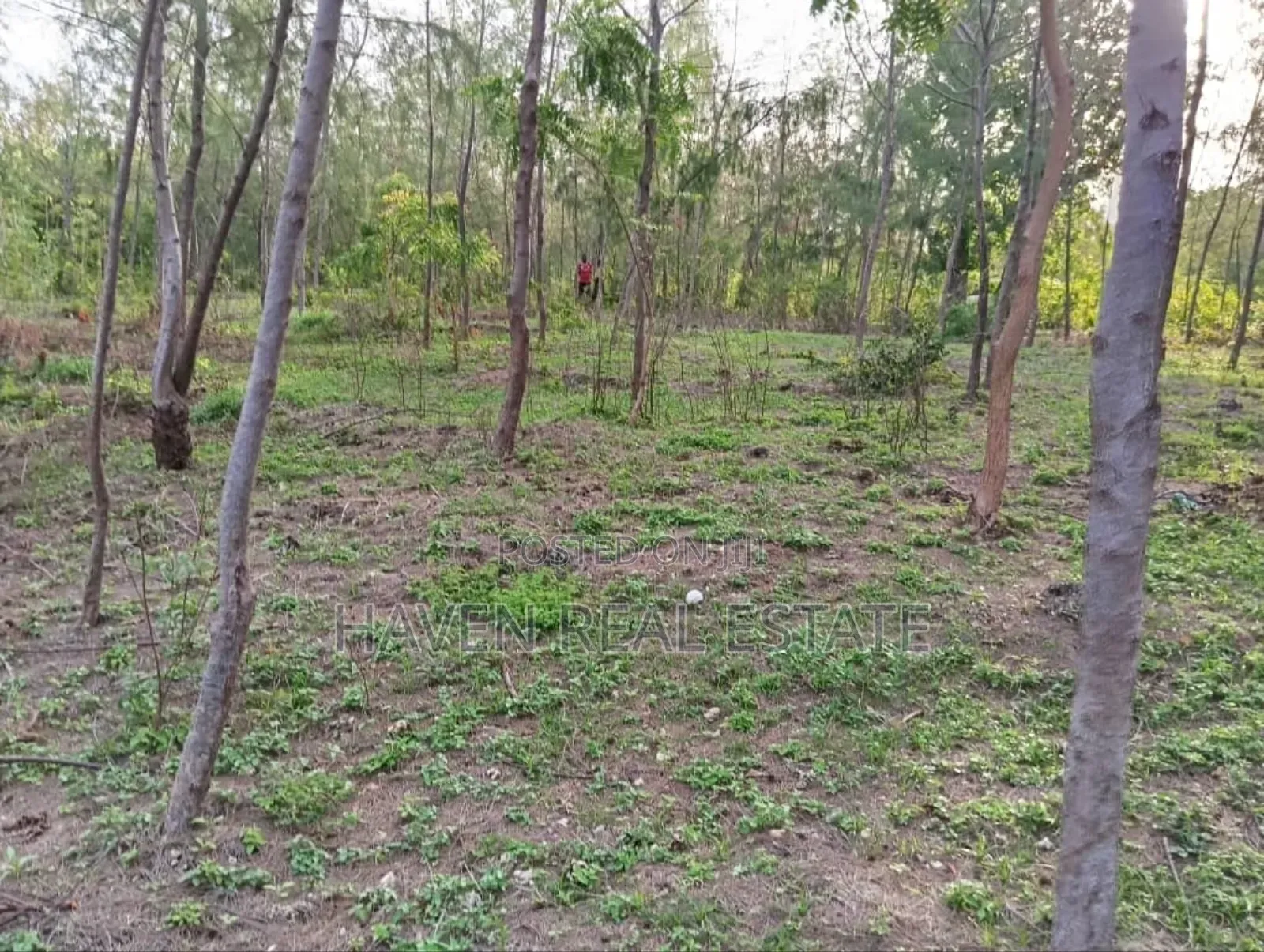 Beach Plot for Sale at Pemba